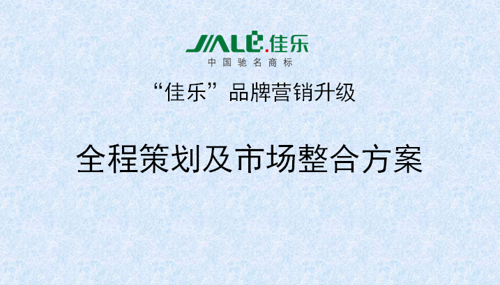 2013年3月18日正睿專家老師向佳樂項(xiàng)目董事長陳述調(diào)研報告