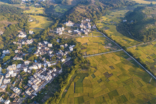 肇慶預算管理咨詢公司如何為企業(yè)構(gòu)建精細化的預算體系？